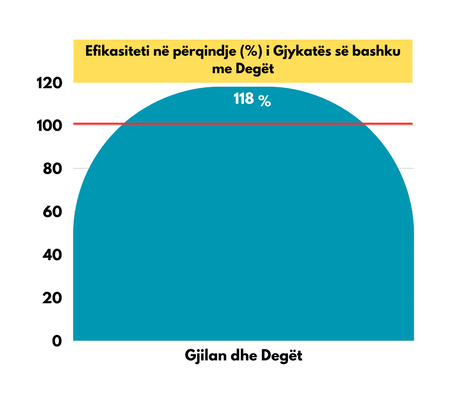 Gjykata Themelore në Gjilan ka përmbyllur vitin 2024 me një efikasitet prej 118 %